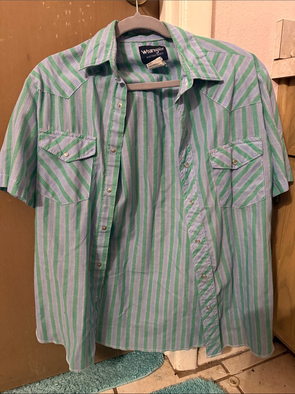 Wrangler Men's Short Sleeve Button-Down Shirt in Green & Light Blue Stripes